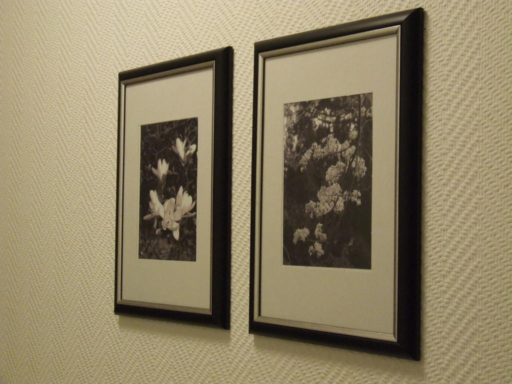 Residenz Hotel Eurostar 杜塞尔多夫 外观 照片